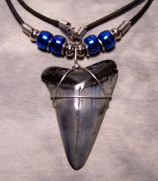 Shark Tooth Necklace 2 1/8 " Mako Shark Teeth Fossil Jaw Megalodon Huge Quality