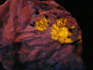 Fluorescent " Third Find " Wollastonite With Barite,  Franklin,  Nj