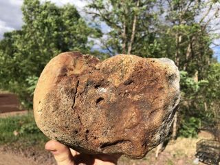 REILLY’S ROCKS: Huge Jurassic Dinosaur Bone Utah,  13.  5 Lbs. 2