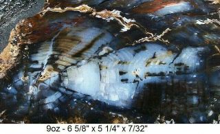 HUBBARD BASIN,  NEVADA BLUE AGATIZED PETRIFIED WOOD SLAB - GORGEOUS 2