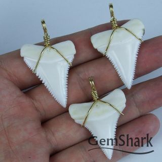Modern Great White Shark Tooth Necklace 1.  4  Pendant 14 K gold plating Chain 3