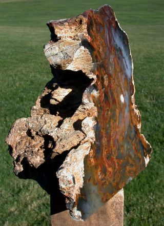 SiS: ULTRA - COOL Hubbard Basin Petrified Wood Log Standing Sculpture - White Star 2