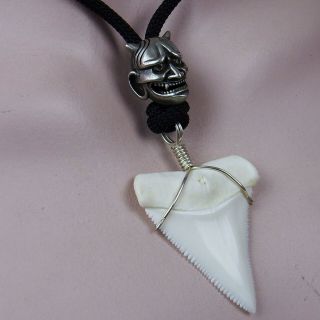 Great White Shark Tooth Necklace 1.  6 Inch Silver Real Megalodon Surfer Pendant