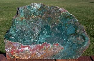 Sis: Glorious 7 Lb.  Green & Red Hampton Butte Oregon Petrified Wood Stand - Up