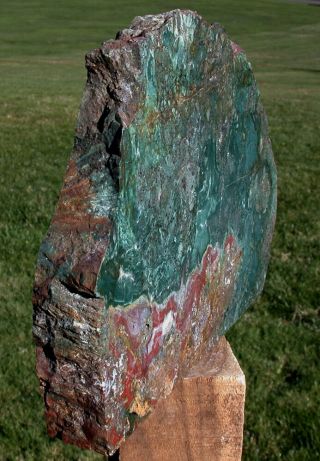 SiS: GLORIOUS 7 lb.  GREEN & RED Hampton Butte Oregon Petrified Wood Stand - up 2