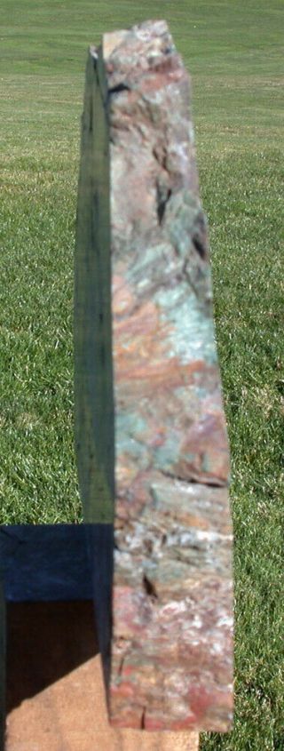 SiS: GLORIOUS 7 lb.  GREEN & RED Hampton Butte Oregon Petrified Wood Stand - up 3