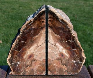 Sis: Fantastic Woody Colored 2.  4 Lb.  Small Petrified Wood Bookends - Mcdermitt