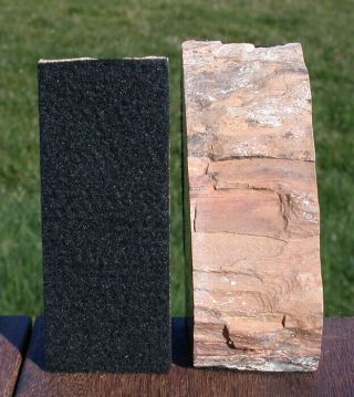 SiS: FANTASTIC WOODY COLORED 2.  4 lb.  Small Petrified Wood Bookends - McDermitt 2