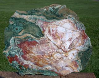 Sis: Unusual 13 " Green & White Hampton Butte Petrified Wood & Agate Cast Slab