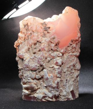 Pink Agate (chalcedony) Wood From Texas Springs,  Nevada 199 Grams Miocene