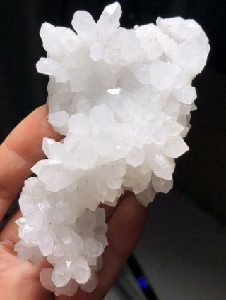 132g Rare Natural White Quartz Crystal Cluster Specimen D798