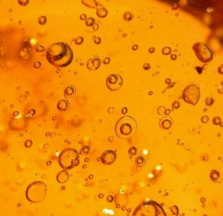 Ancient Water Bubbles Enhydros,  Fly In Authentic Dominican Amber Fossil Gemstone