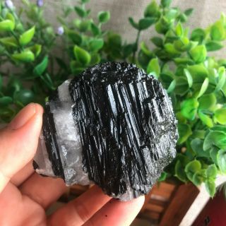 178g Top Natural Rough Black Tourmaline Crystal Cluster Mineral Specimen 15