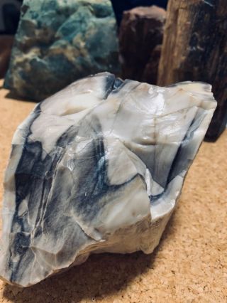Opalized Petrified Wood Agate Limb Cast Jasper Lapidary Crystal