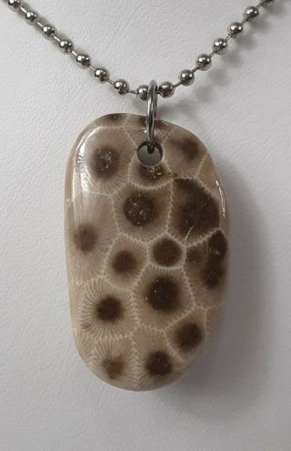 Ancient Michigan Petoskey Stone Polished Pendant Necklace Ball Chain