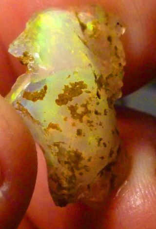 Virgin Valley Precious Opal Petrified Wood Nevada 11.  5cts