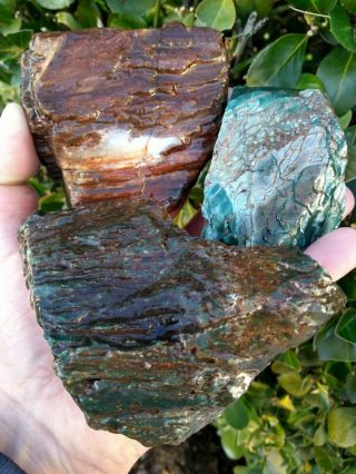 Three (3) Green Red Hampton Butte Oregon Petrified Wood Jasper Agate 3lbs 5.  4oz