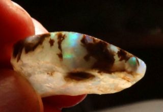 Virgin Valley Crystal & Precious Opal Petrified Wood Nevada 21.  00 Cts