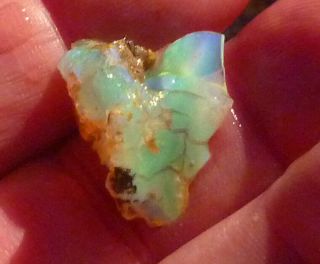 15.  60 Cts Virgin Valley Precious Opal Petrified Wood Nevada 21mm