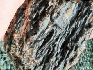 Agatized Petrified Wood From Yellowstone River 1lb 12oz