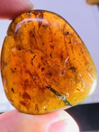 11.  5g Some Beetle&fly&wasp&leaf Burmite Myanmar Amber Insect Fossil Dinosaur Age