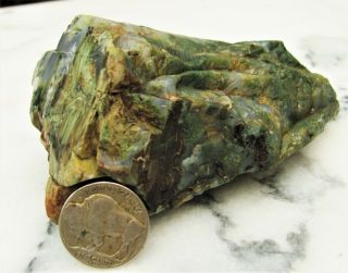 Green Hampton Butte Petrified Wood Desktop Specimen Cut & Polished Crystal