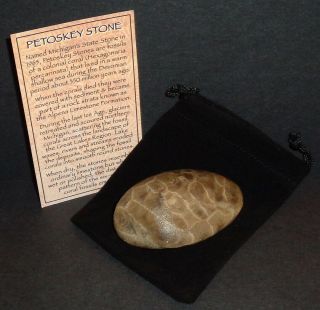 Big Michigan Petoskey Stone,  Polished,  Coated,  350 Million Year Old Coral Fossil