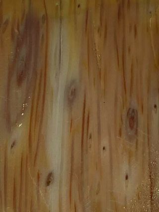 Petrified Palm Wood Slab,  Rough For Lapidary