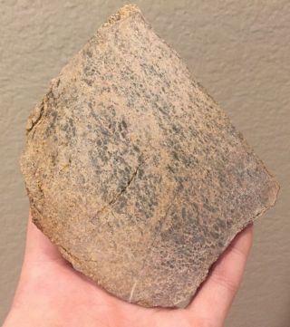 Utah Fossil Dinosaur Bone Slab Jurassic 5” Polished Fossil 6 Oz 2