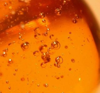 Water Bubbles Enhydros,  Worker Ant In Authentic Dominican Amber Fossil Gemstone