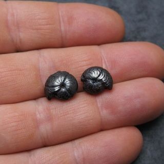 2x Goniatite 13mm Hematite Devonian Mineral Fossil Ammonite 3