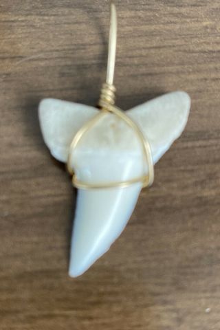 Natural Shark Tooth Necklace 1 1/4” Gold Winding Surfer Pendant