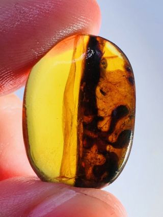 2.  36g Unknown Items Burmite Myanmar Burmese Amber Insect Fossil Dinosaur Age