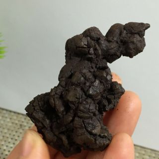 Rare dinosaur dung coprolite Petrified Poop 82g a021 3