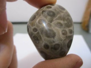 Artists Helping Artists Hand Polished Petoskey Stone From Michigan 3