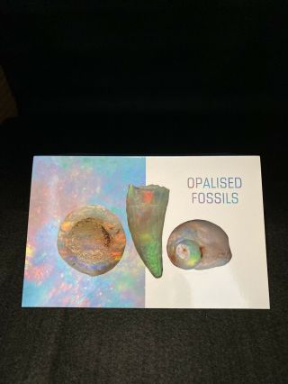 Opalised Fossil Australia Stamps 2