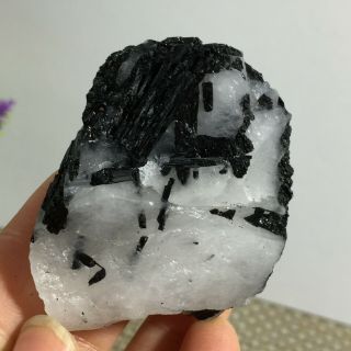Top Natural Rough Black Tourmaline Crystal Cluster Mineral Specimen 76g a19 3