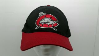 Vintage Carolina Mudcats Snapback Hat Minor League Baseball Bait Shop.