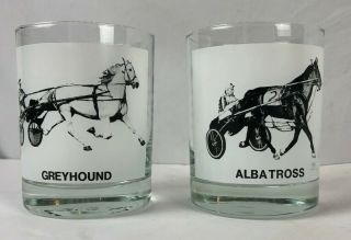Horse Racing Batavia Downs Ny Harness Horse Greyhound And Albatross Glasses