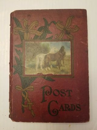 Vtg Postcard Album & 32 Cards.  Early 1900 