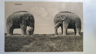 China Vintage Qing Real Photo Postcard Stone Elephants Ming Tombs Nanking
