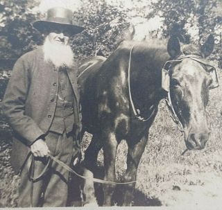 Old Bearded Man With Horse C.  1900 Vintage Cabinet Photo