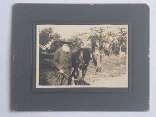 Old Bearded Man With Horse c.  1900 Vintage Cabinet Photo 2