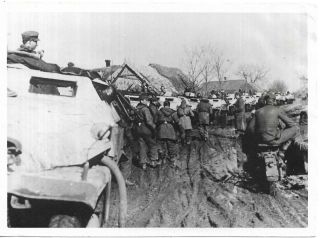 Ww2 Hoffmann Photo Russia Donetz Front 1943 German Vehicles Bogged Down In Mud