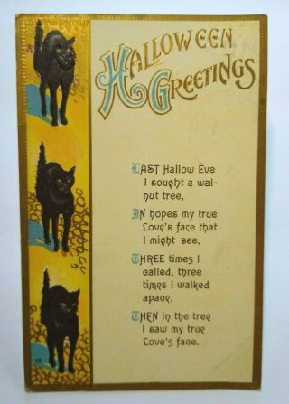 Vintage Halloween Postcard Black Cats Florence Bamberger Series 12 1916 2