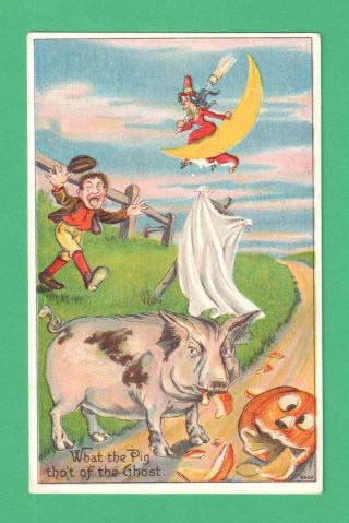 Vintage Comic Halloween Postcard " What The Pig Tho 