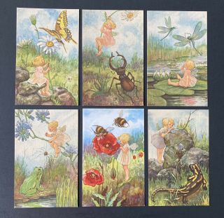 Vintage Fantasy Fairy Postcards Set Of 6 A/s Dockal Insects,  Bugs,  Frog