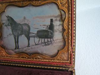Antique 1/4 Plate Daguerreotype Photograph Man - Horse W/ Bells - Dog - Bear Blanket