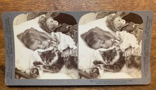Antique Stereoview GIRL CHILD SLEEPING with CAT & Doll Victorian Old Photo 2