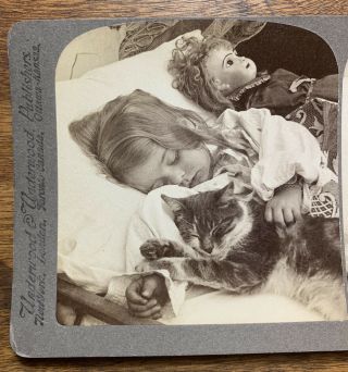 Antique Stereoview GIRL CHILD SLEEPING with CAT & Doll Victorian Old Photo 3
